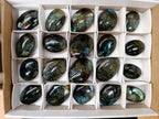 Polished Labradorite Gallets x 20 From Tulear, Madagascar - Toprock Gemstones and Minerals 