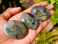 Polished Labradorite Gallets x 20 From Tulear, Madagascar - Toprock Gemstones and Minerals 