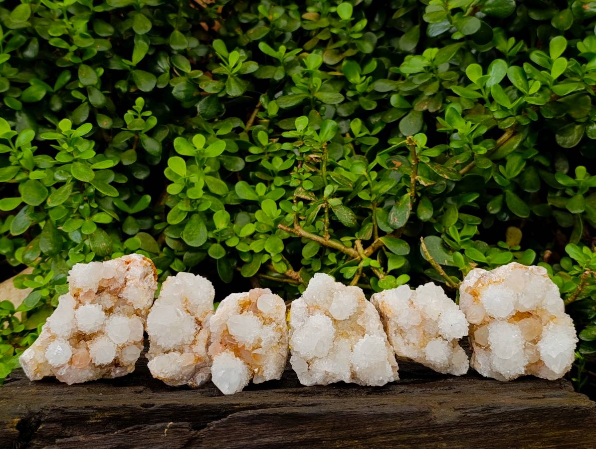 Natural White Spirit Quartz Clusters x 6 From Boekenhouthoek, South Africa - Toprock Gemstones and Minerals 