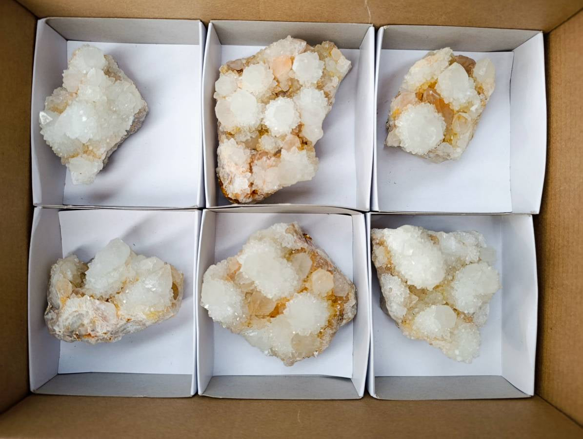 Natural White Spirit Quartz Clusters x 6 From Boekenhouthoek, South Africa - Toprock Gemstones and Minerals 