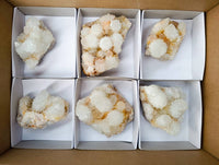 Natural White Spirit Quartz Clusters x 6 From Boekenhouthoek, South Africa - Toprock Gemstones and Minerals 