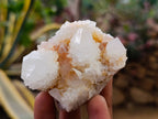 Natural White Spirit Quartz Clusters x 6 From Boekenhouthoek, South Africa - Toprock Gemstones and Minerals 