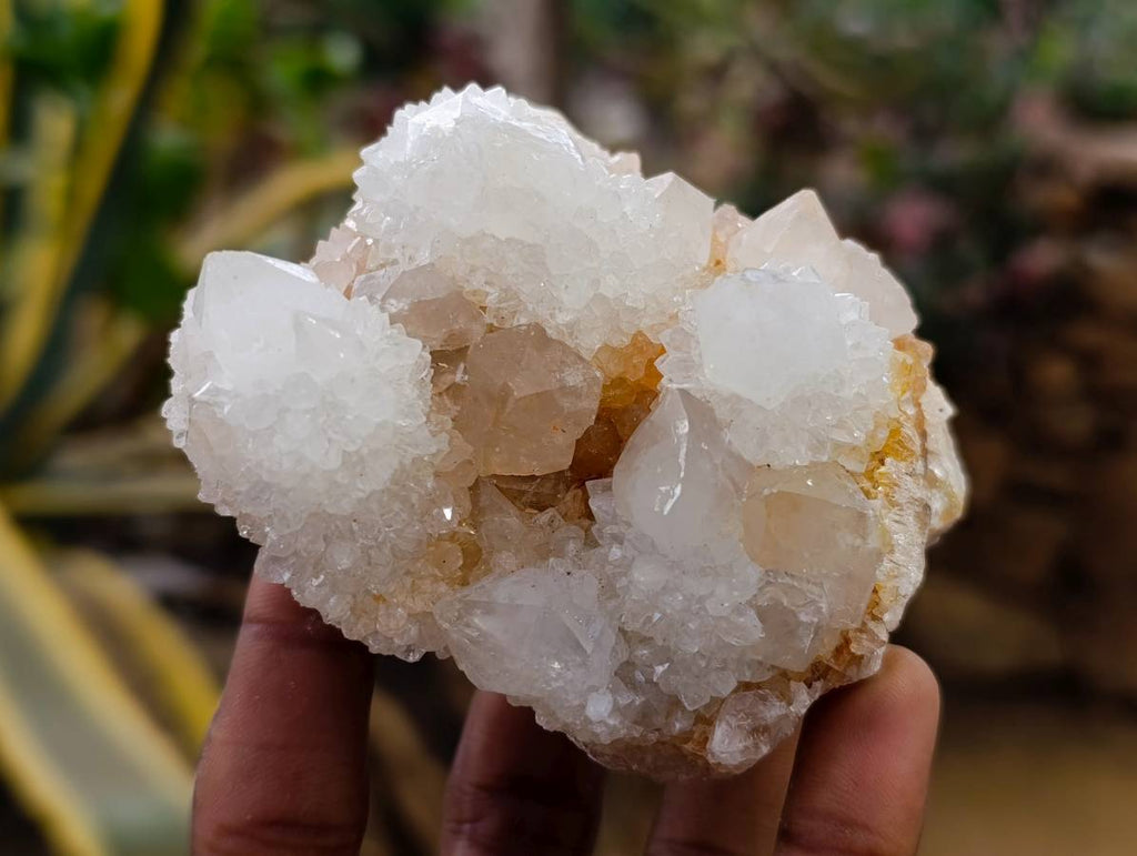 Natural White Spirit Quartz Clusters x 6 From Boekenhouthoek, South Africa - Toprock Gemstones and Minerals 