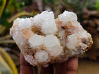Natural White Spirit Quartz Clusters x 6 From Boekenhouthoek, South Africa - Toprock Gemstones and Minerals 