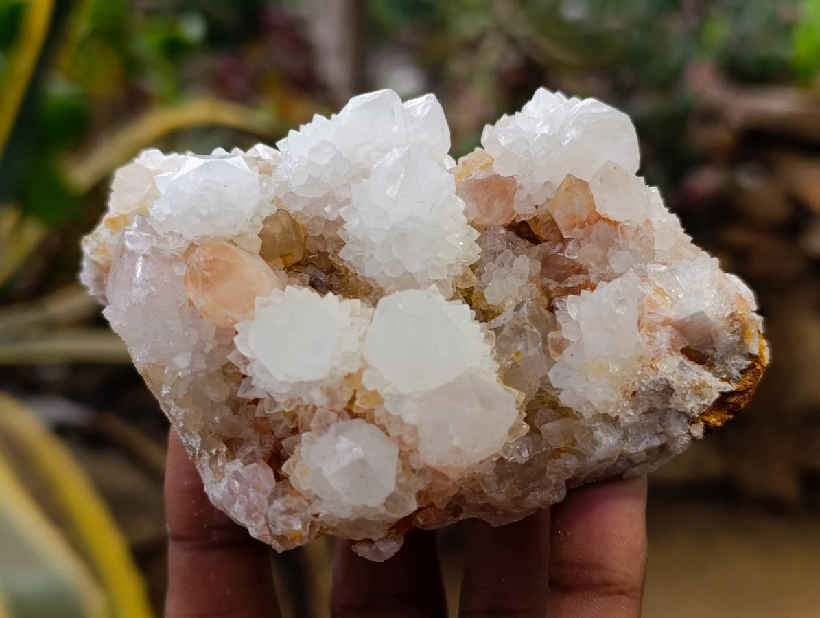 Natural White Spirit Quartz Clusters x 6 From Boekenhouthoek, South Africa - Toprock Gemstones and Minerals 