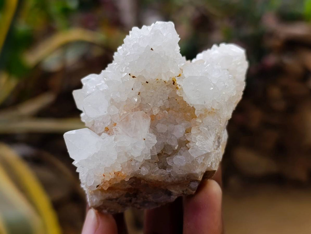 Natural White Spirit Quartz Clusters x 6 From Boekenhouthoek, South Africa - Toprock Gemstones and Minerals 