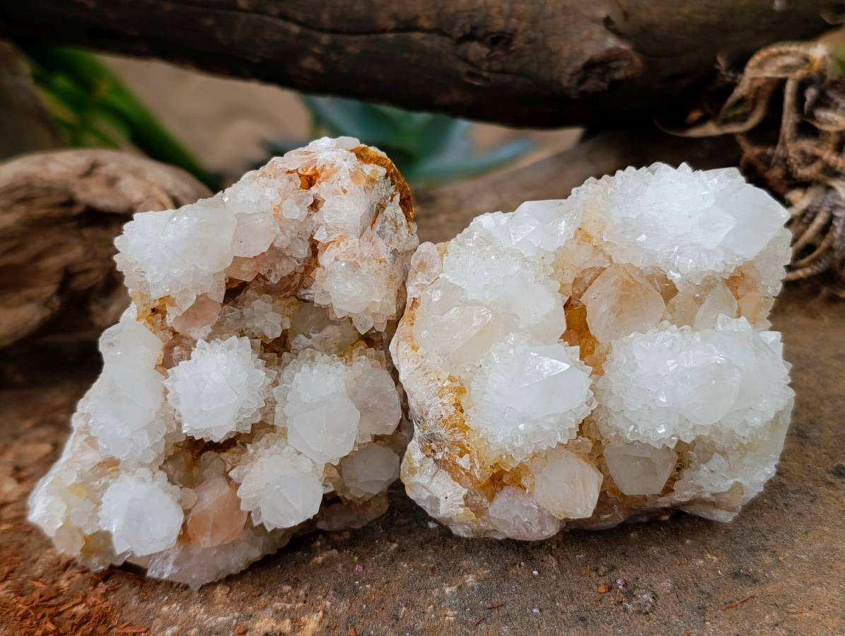 Natural White Spirit Quartz Clusters x 6 From Boekenhouthoek, South Africa - Toprock Gemstones and Minerals 