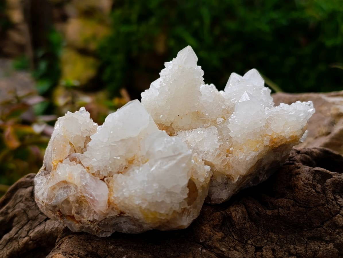 Natural White Spirit Quartz Clusters x 6 From Boekenhouthoek, South Africa - Toprock Gemstones and Minerals 
