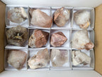 Natural Hematoid Smokey Crystals x 12 From Madagascar - Toprock Gemstones and Minerals 