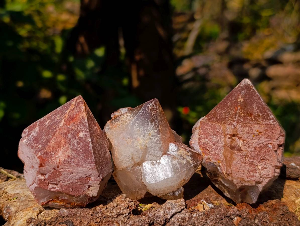 Natural Hematoid Smokey Crystals x 12 From Madagascar - Toprock Gemstones and Minerals 