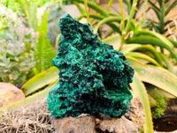 Natural Silky Malachite Specimens x 1 From Kasompe, Congo - Toprock Gemstones and Minerals 