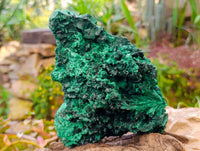Natural Silky Malachite Specimens x 1 From Kasompe, Congo - Toprock Gemstones and Minerals 