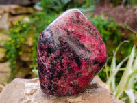 Polished Rhodonite Standing Free Forms x 1 From Rhusinga, Zimbabwe - Toprock Gemstones and Minerals 