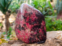 Polished Rhodonite Standing Free Forms x 1 From Rhusinga, Zimbabwe - Toprock Gemstones and Minerals 