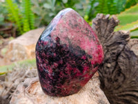 Polished Rhodonite Standing Free Forms x 1 From Rhusinga, Zimbabwe - Toprock Gemstones and Minerals 