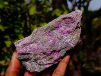 Natural Stichtite Specimens x 6 From Barberton, South Africa - Toprock Gemstones and Minerals 