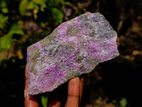 Natural Stichtite Specimens x 6 From Barberton, South Africa - Toprock Gemstones and Minerals 