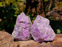 Natural Stichtite Specimens x 6 From Barberton, South Africa - Toprock Gemstones and Minerals 