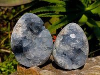 Polished Celestite Gemmy Crystal Eggs  x 2 From Sakoany, Madagascar - Toprock Gemstones and Minerals 