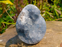 Polished Celestite Gemmy Crystal Eggs  x 2 From Sakoany, Madagascar - Toprock Gemstones and Minerals 