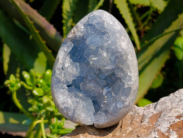 Polished Celestite Gemmy Crystal Eggs  x 2 From Sakoany, Madagascar - Toprock Gemstones and Minerals 
