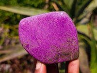 Polished Stichtite Free Forms x 6 From Barberton, South Africa - Toprock Gemstones and Minerals 
