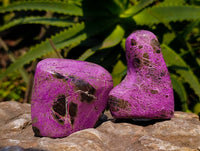 Polished Stichtite Free Forms x 6 From Barberton, South Africa - Toprock Gemstones and Minerals 