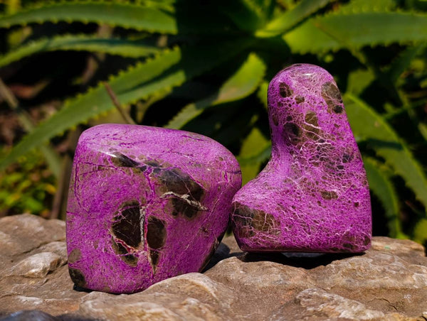 Polished Stichtite Free Forms x 6 From Barberton, South Africa - Toprock Gemstones and Minerals 