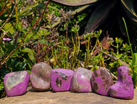 Polished Stichtite Free Forms x 6 From Barberton, South Africa - Toprock Gemstones and Minerals 