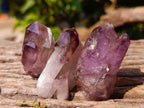 Natural Window Amethyst Crystals x 12 From Chiredzi, Zimbabwe - Toprock Gemstones and Minerals 