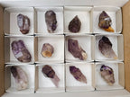 Natural Window Amethyst Crystals x 12 From Chiredzi, Zimbabwe - Toprock Gemstones and Minerals 