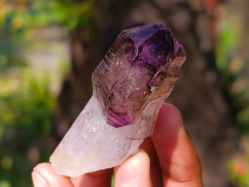 Natural Window Amethyst Crystals x 12 From Chiredzi, Zimbabwe - Toprock Gemstones and Minerals 
