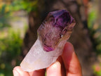 Natural Window Amethyst Crystals x 12 From Chiredzi, Zimbabwe - Toprock Gemstones and Minerals 