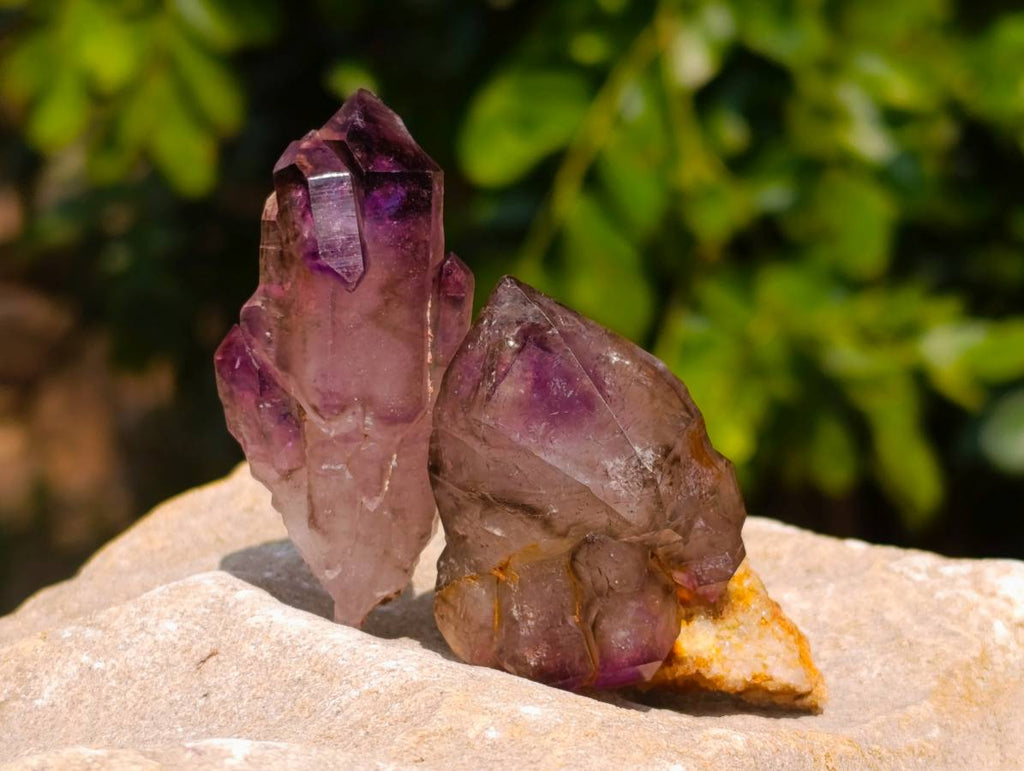 Natural Window Amethyst Crystals x 12 From Chiredzi, Zimbabwe - Toprock Gemstones and Minerals 
