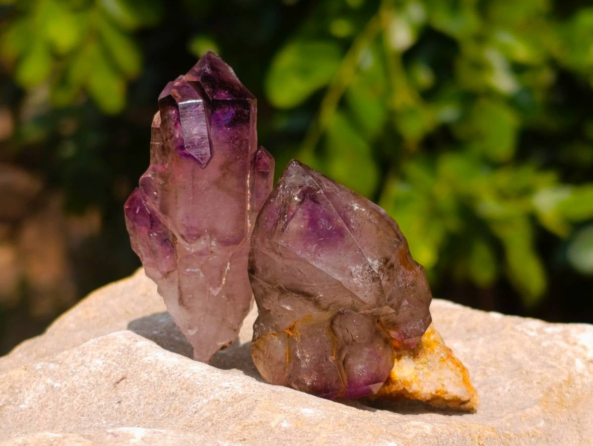 Natural Window Amethyst Crystals x 12 From Chiredzi, Zimbabwe - Toprock Gemstones and Minerals 