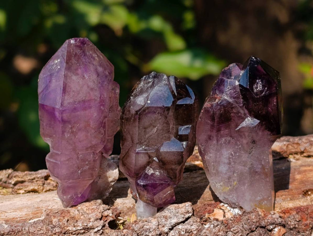 Natural Window Amethyst Crystals x 12 From Chiredzi, Zimbabwe - Toprock Gemstones and Minerals 