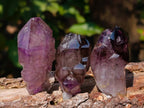Natural Window Amethyst Crystals x 12 From Chiredzi, Zimbabwe - Toprock Gemstones and Minerals 
