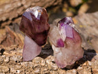 Natural Window Amethyst Crystals x 12 From Chiredzi, Zimbabwe - Toprock Gemstones and Minerals 