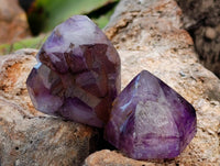Polished Smokey Window Amethyst Quartz Crystals x 24 From Akansobe, Madagascar - Toprock Gemstones and Minerals 