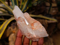 Natural Clear Quartz Clusters x 6 From Mpika, Zambia - Toprock Gemstones and Minerals 