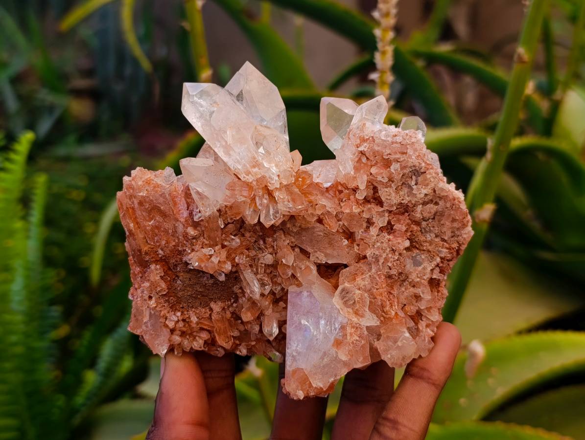 Natural Clear Quartz Clusters x 6 From Mpika, Zambia - Toprock Gemstones and Minerals 