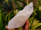 Natural Clear Quartz Clusters x 6 From Mpika, Zambia - Toprock Gemstones and Minerals 