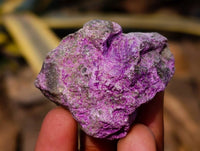 Natural Cobbed Stichtite Specimens x 70 From Barberton, South Africa - Toprock Gemstones and Minerals 