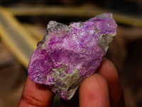 Natural Cobbed Stichtite Specimens x 70 From Barberton, South Africa - Toprock Gemstones and Minerals 