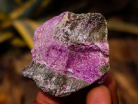 Natural Cobbed Stichtite Specimens x 70 From Barberton, South Africa - Toprock Gemstones and Minerals 