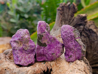 Natural Cobbed Stichtite Specimens x 70 From Barberton, South Africa - Toprock Gemstones and Minerals 