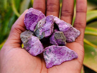 Natural Cobbed Stichtite Specimens x 70 From Barberton, South Africa - Toprock Gemstones and Minerals 