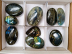 Polished Labradorite Gallets x 9 From Tulear, Madagascar - Toprock Gemstones and Minerals 