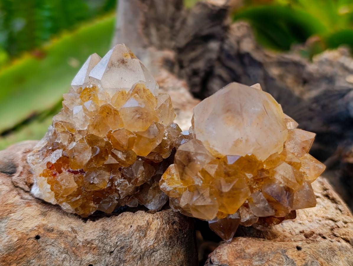 Natural Amethyst and Spirit Quartz Crystals x 20 From Boekenhouthoek, South Africa - Toprock Gemstones and Minerals 