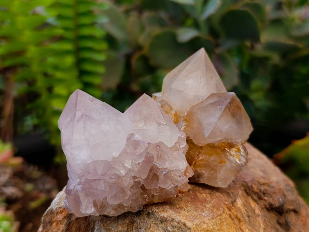 Natural Amethyst and Spirit Quartz Crystals x 20 From Boekenhouthoek, South Africa - Toprock Gemstones and Minerals 
